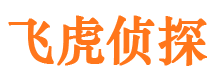 宣化市调查公司